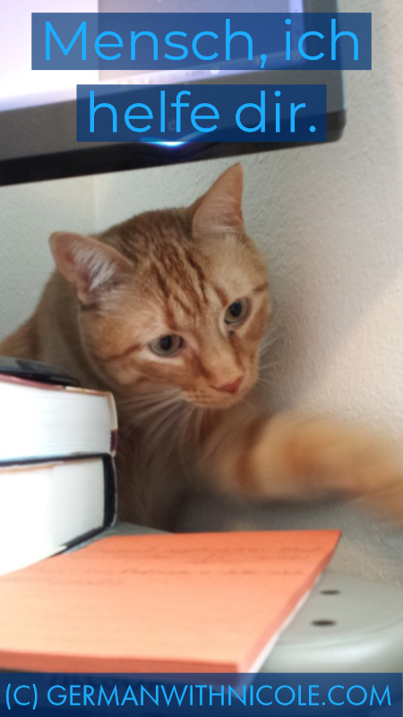 Connor hilft Frau Warner bei der Arbeit.