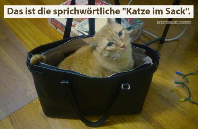 die Katze im Sack kaufen